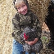           At Farm Camp you'll get to meet our cuddly chickens and hunt for eggs.